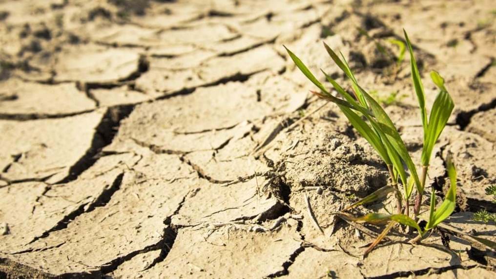 Day 152: Innovation for water for life