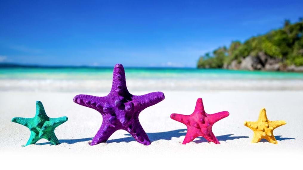 Day 153: 'Hand-made' pills inspired by a starfish