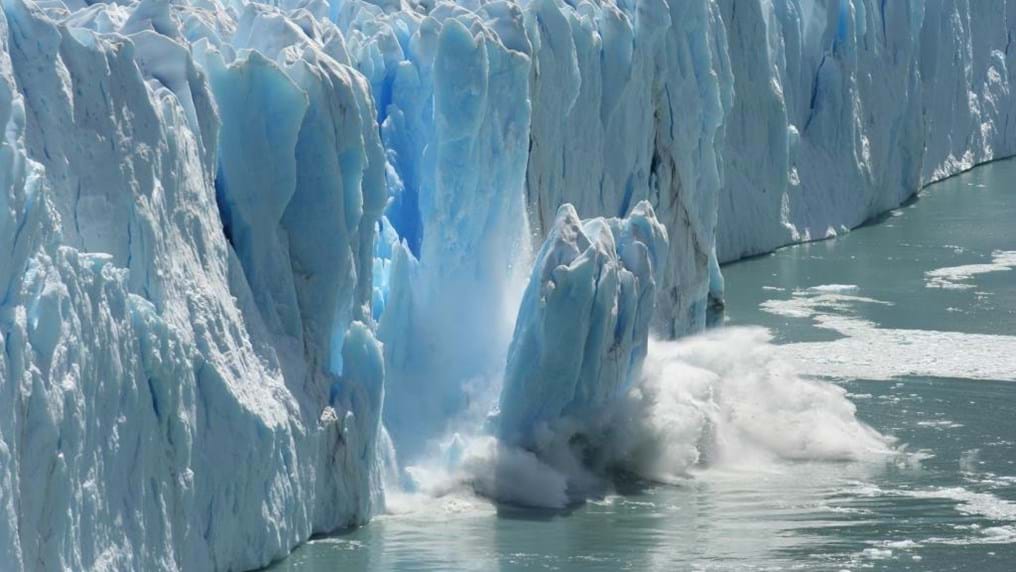 Day 163: It's not just the polar bears at risk