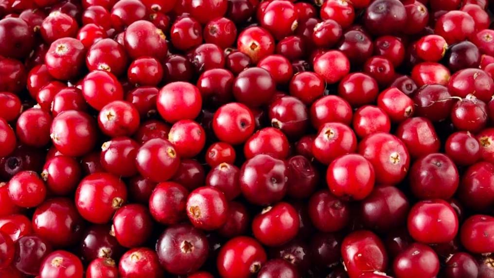 Day 180: Super and fruity