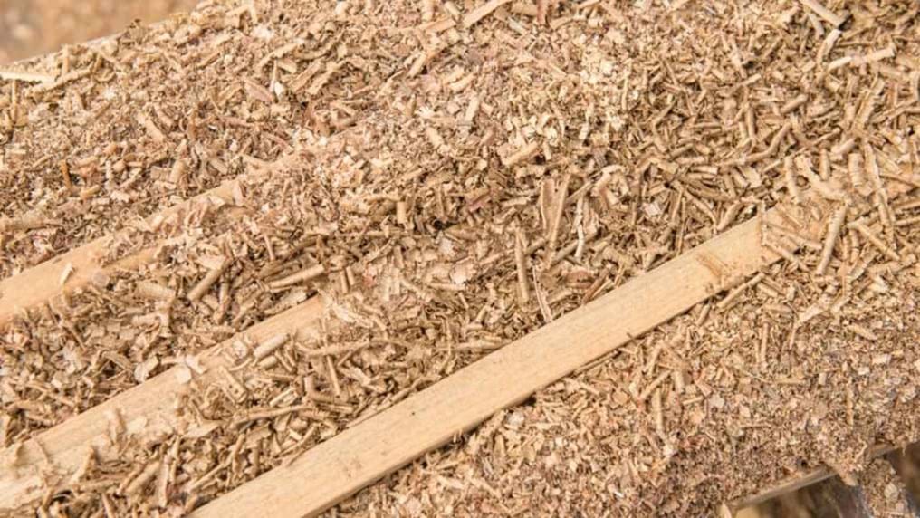 Day 196: Driven by sawdust