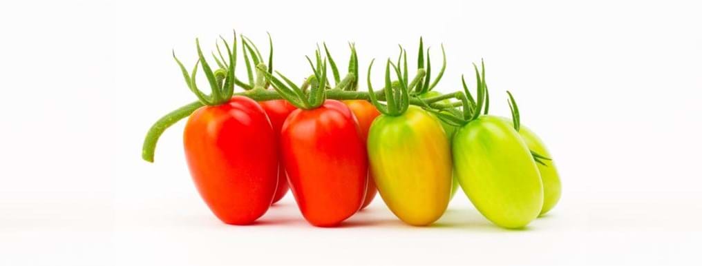 Day 197: Making fruit red by going green