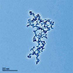 Nanoscale human hair