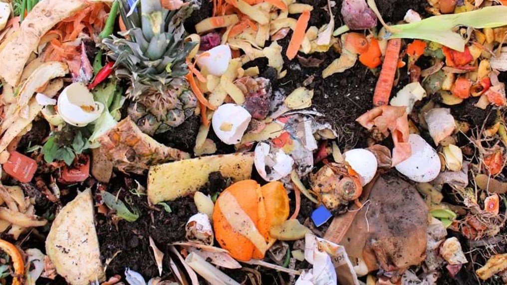 Day 236: Leaching the value from waste