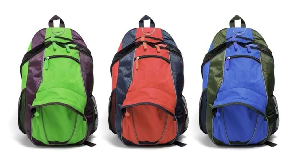 Day 241: Using cellular backpacks to deliver drugs