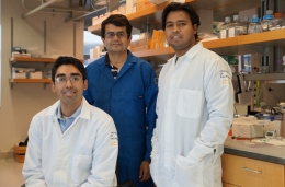 Aaron Anselmo, Samir Mitragotri and Sunny Kumar, UCSB