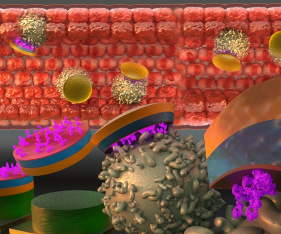 Disc-shaped microparticles