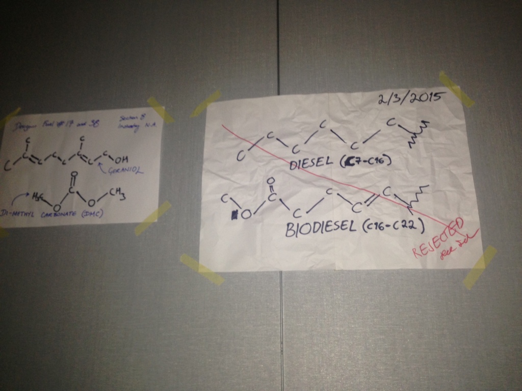 Research into biofuels from Algae