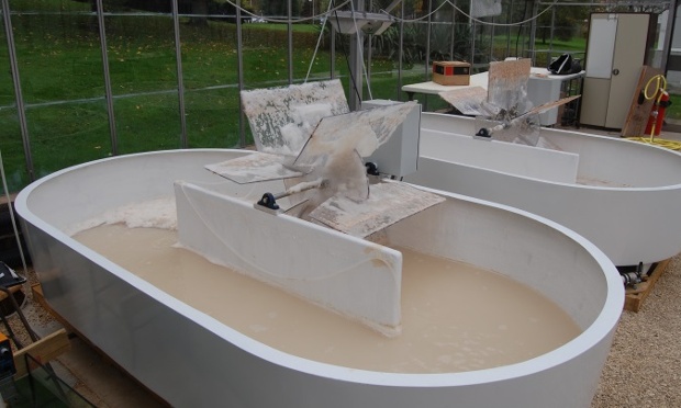 Yeast grown in open tanks