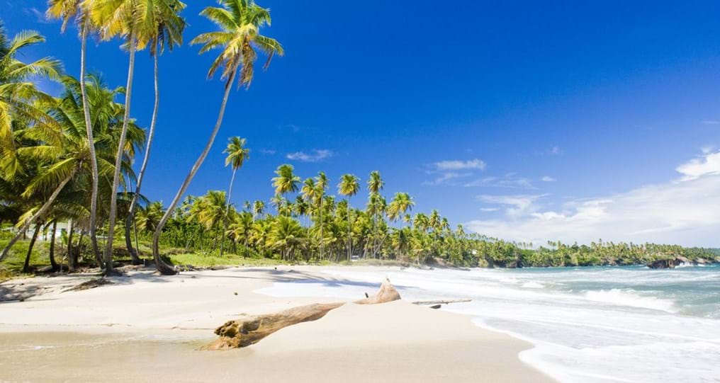 Day 298: Sheffield students win Caribbean field trip