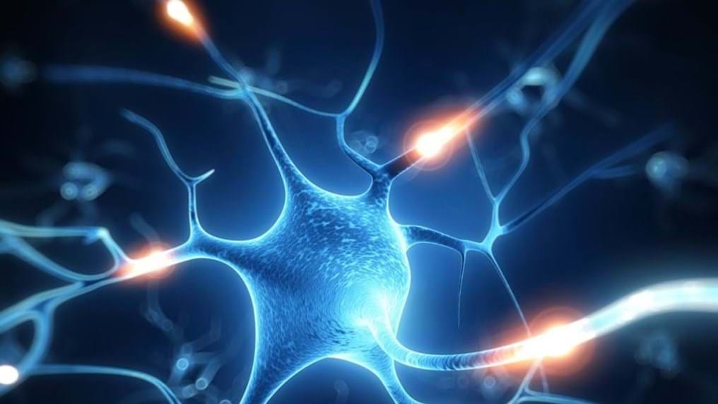 Day 308: Engineering hydrogels to treat spinal cord injury