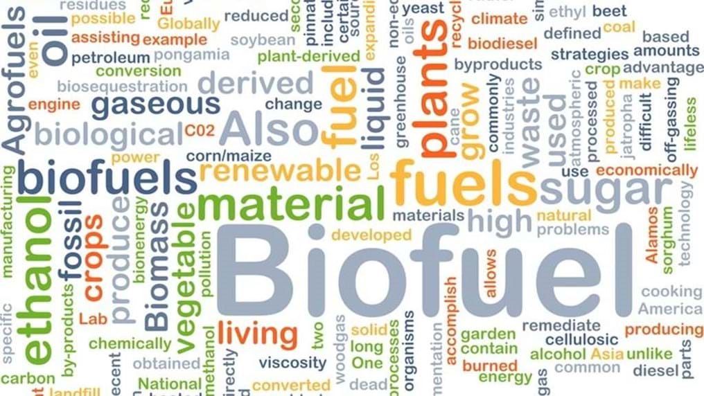 Day 324: Engineered yeast on par with conventional fuels
