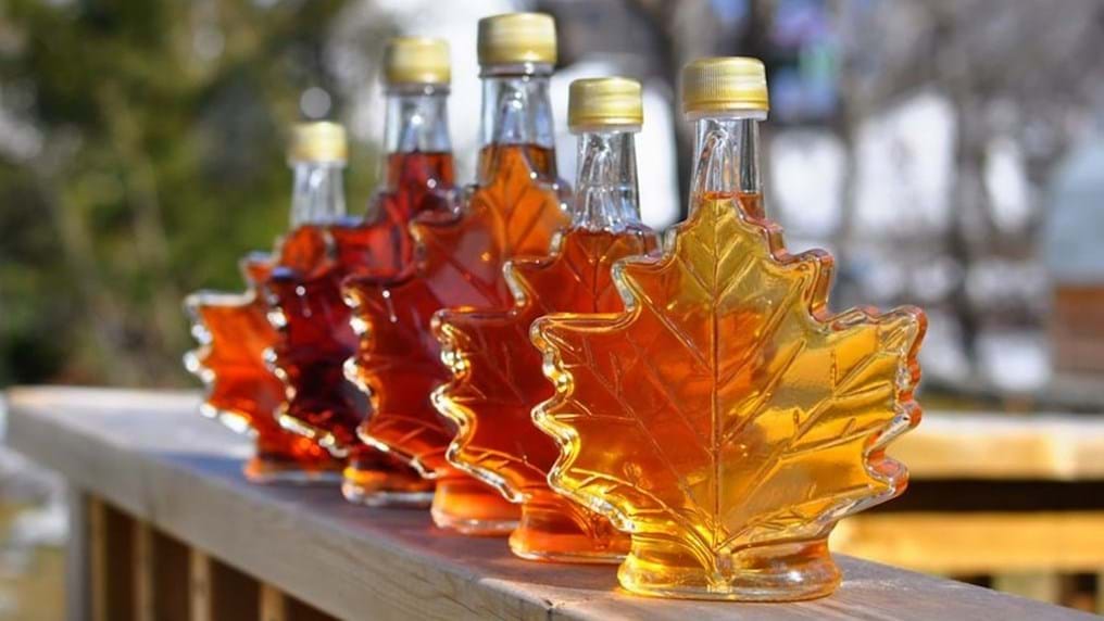 Day 336: Maple syrup magnifies antibiotic attack