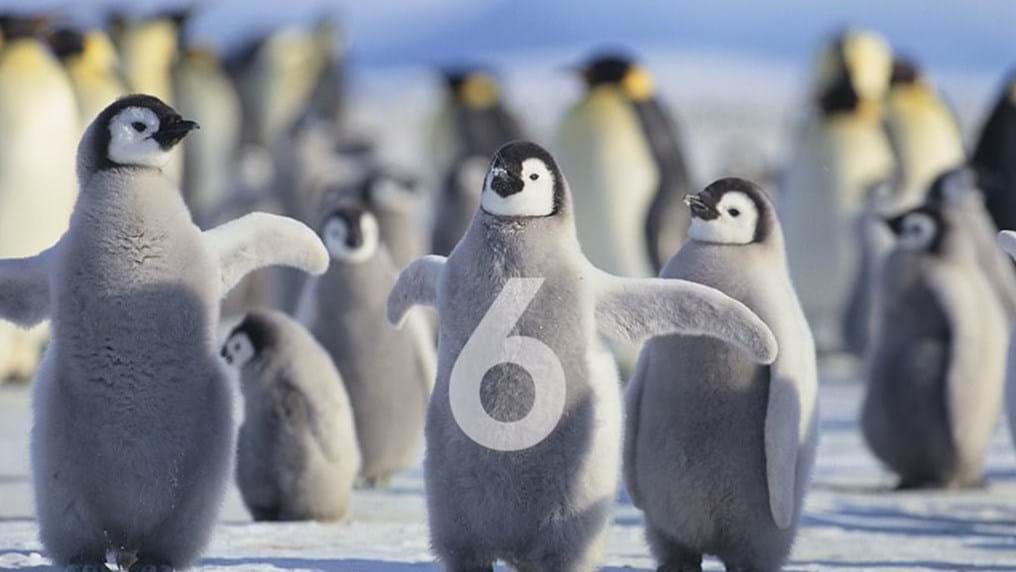 Day 360: Six continents but why don't penguins read my blog?