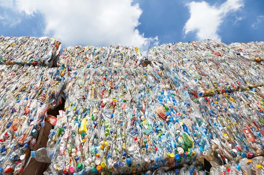 GUEST BLOG: The importance of solving plastics pollution - my experience pitching in Parliament