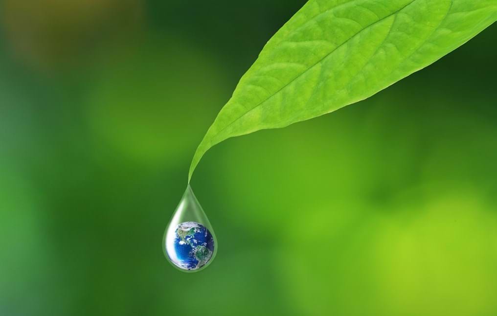 Green chemistry offers solution to plastic and polyester recycling – IChemE Business Start-up Award Winner 2018