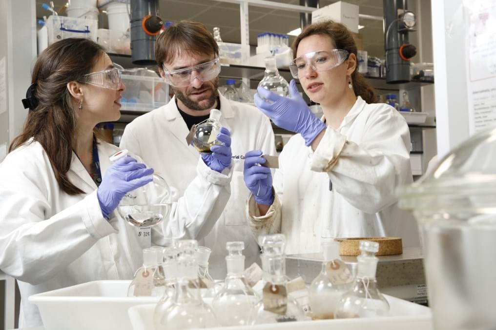 From waste wood to useful goods – IChemE Young Researcher Award winner 2019