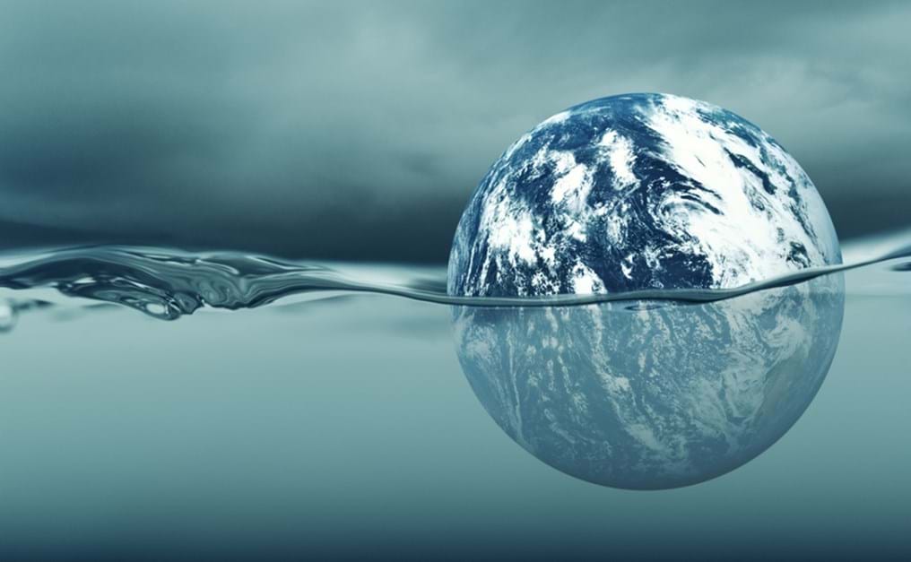 COP27: From ambition to implementation