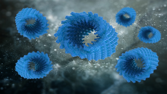 Bioengineering Potential of Self-Assembly Biological Nanoparticles of Viral Capsid