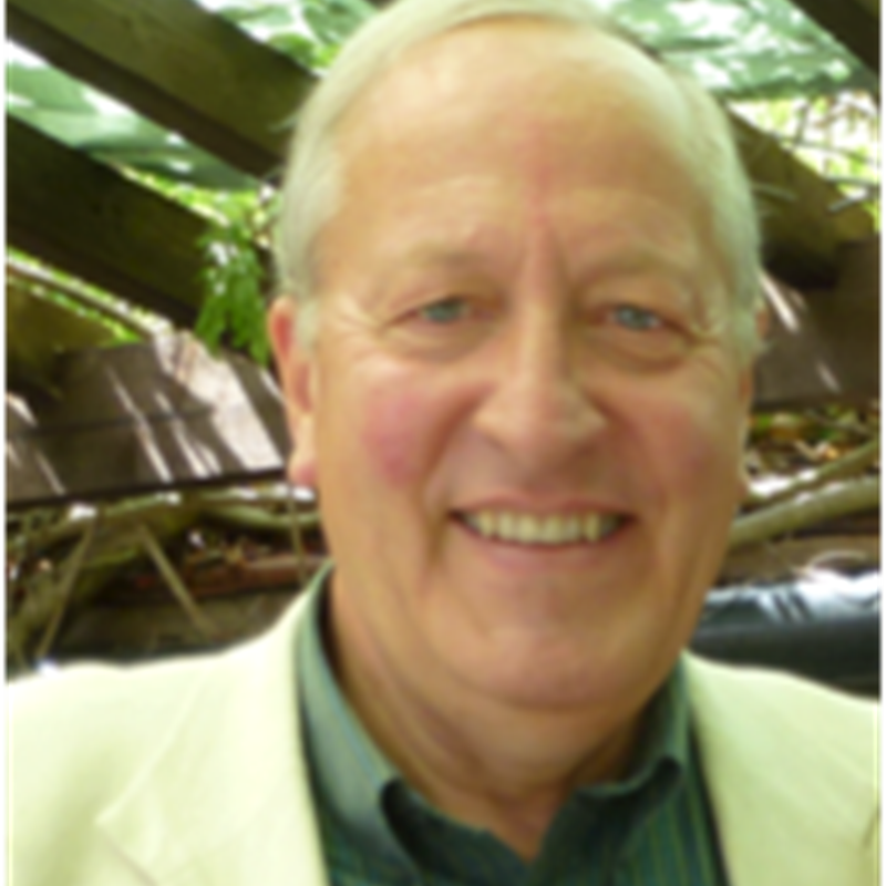 David Lemon