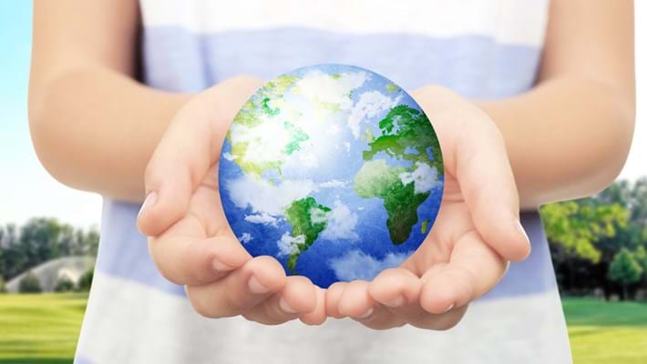 Sustainability