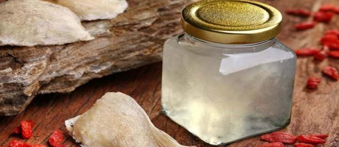 Webinar: From Nest to Nourishment: The Delicate Essence of Edible Bird's Nest
