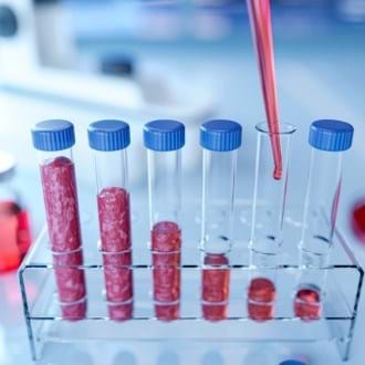 National Library of Medicine – Planetary Protein Sources: balancing food innovation, sustainability, nutrition and health