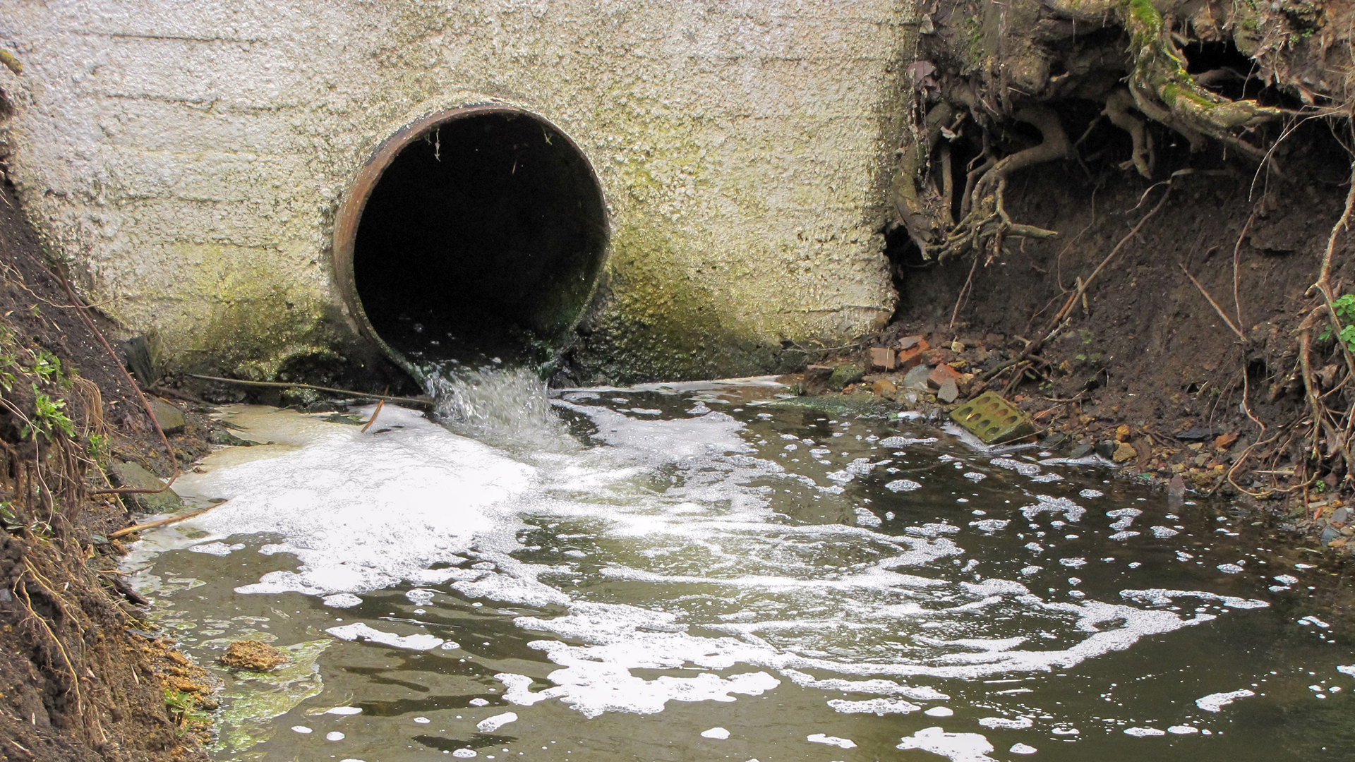 Webinar: Sewer Network Monitoring								