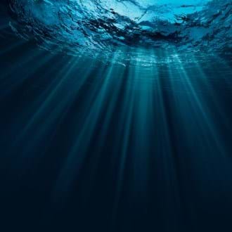 Water Environment Federation