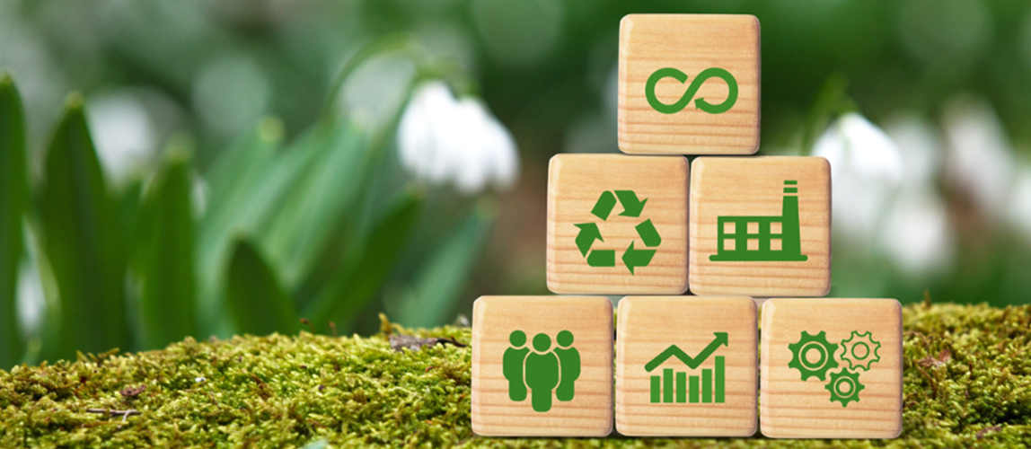 Webinar: Sustainable Circular Economy: Technical, Economic, Political and Social Dimensions