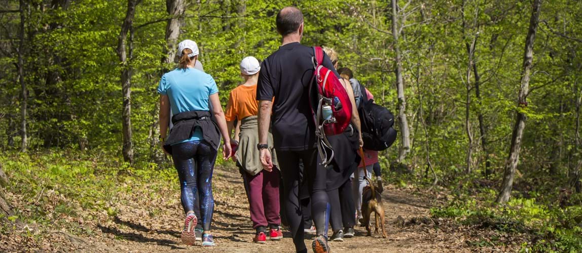 Netwalking with the Midlands Member Group