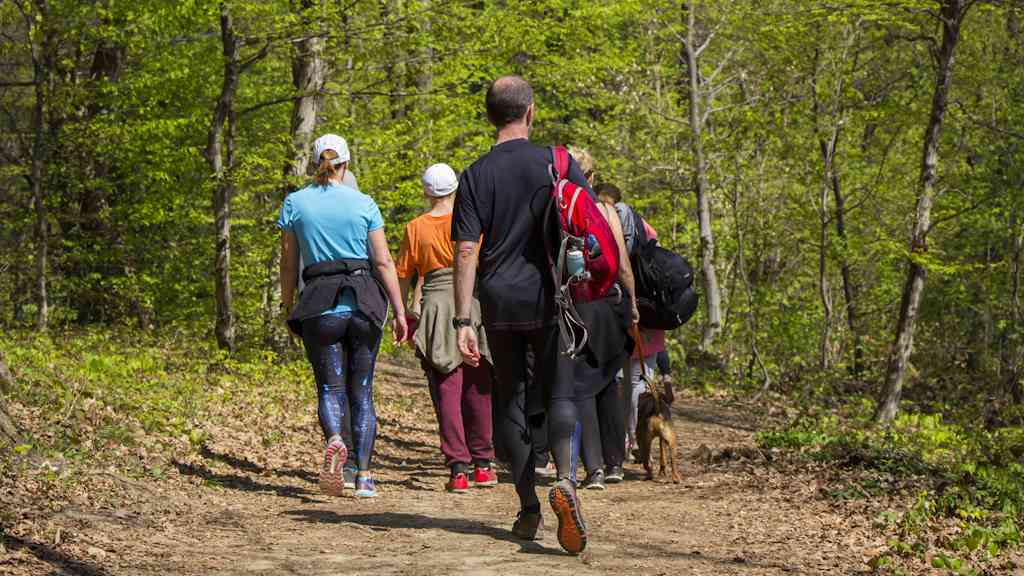 London and South East Member Group Summer Social – Netwalking