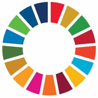 UN Sustainable Development Goals Card Activity