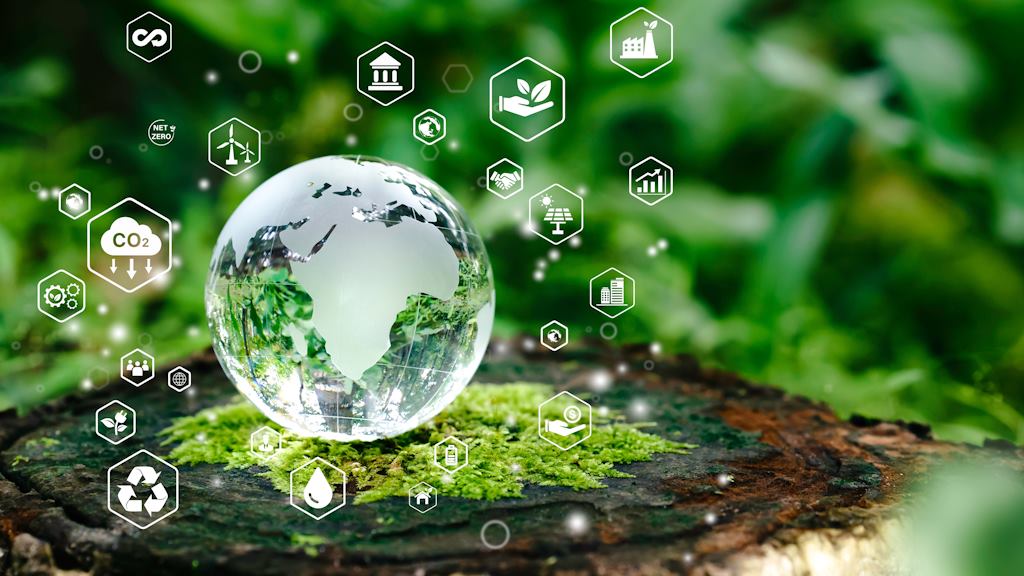 Virtual work experience