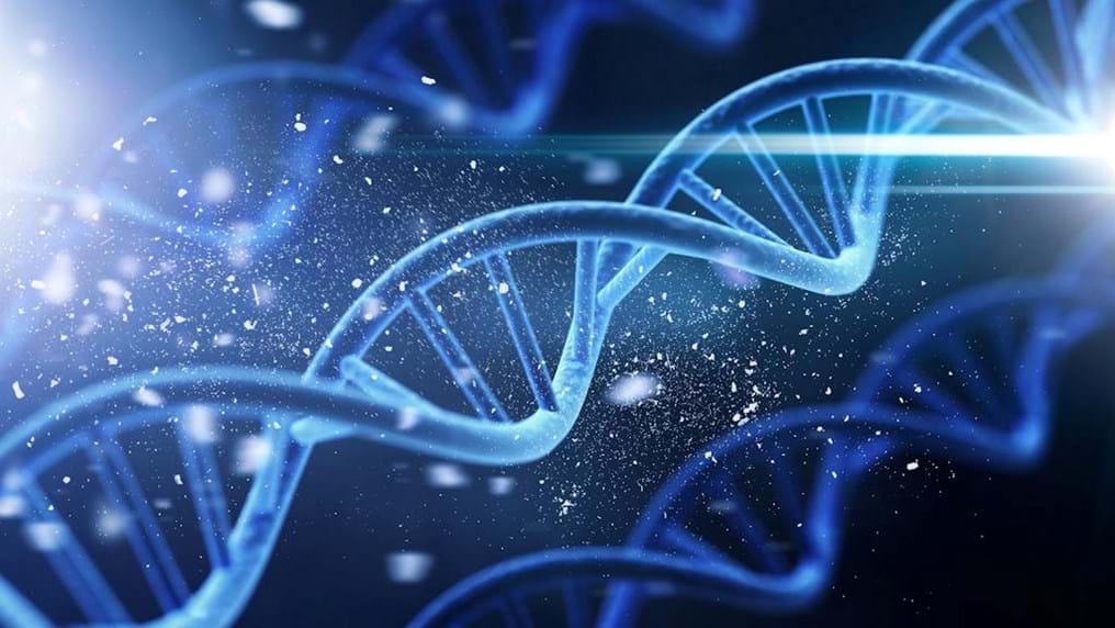 Science and technology committee draws on IChemE's expertise