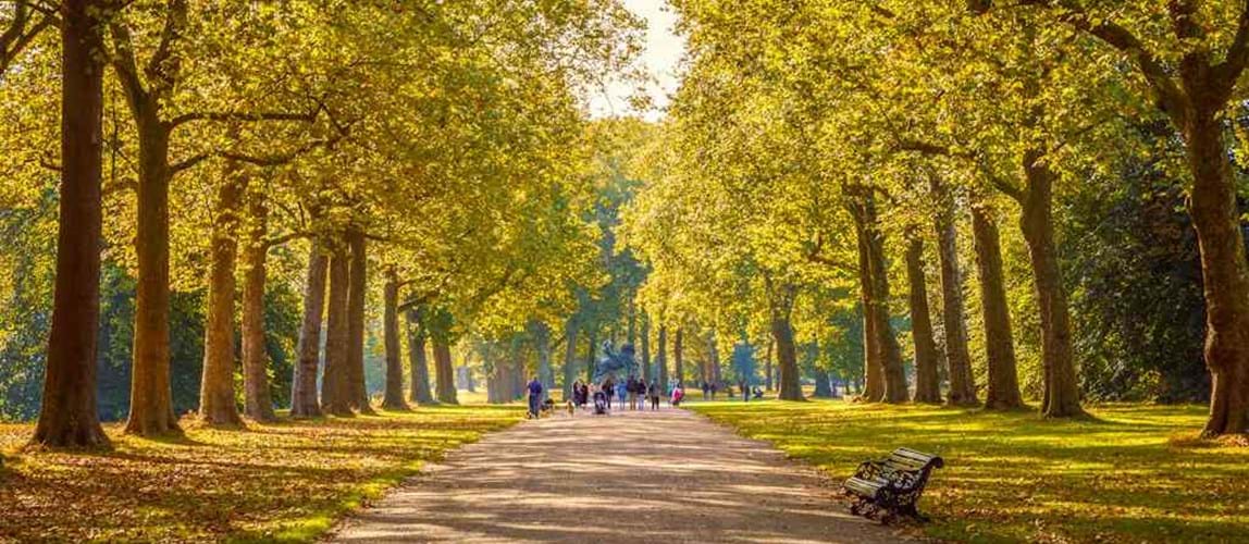 Netwalking with the London and South East Coast Member Group