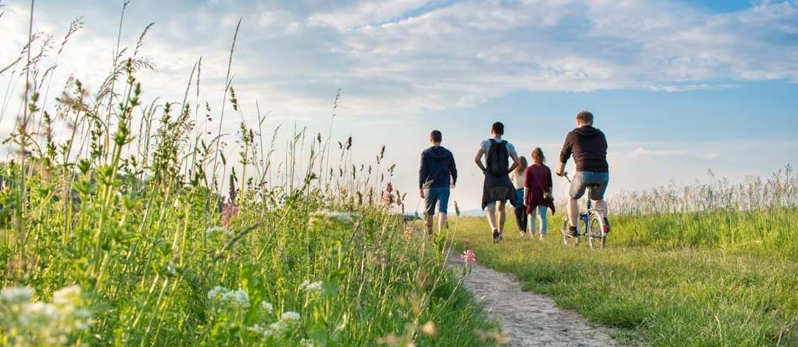 Netwalking at Attenborough Nature Reserve