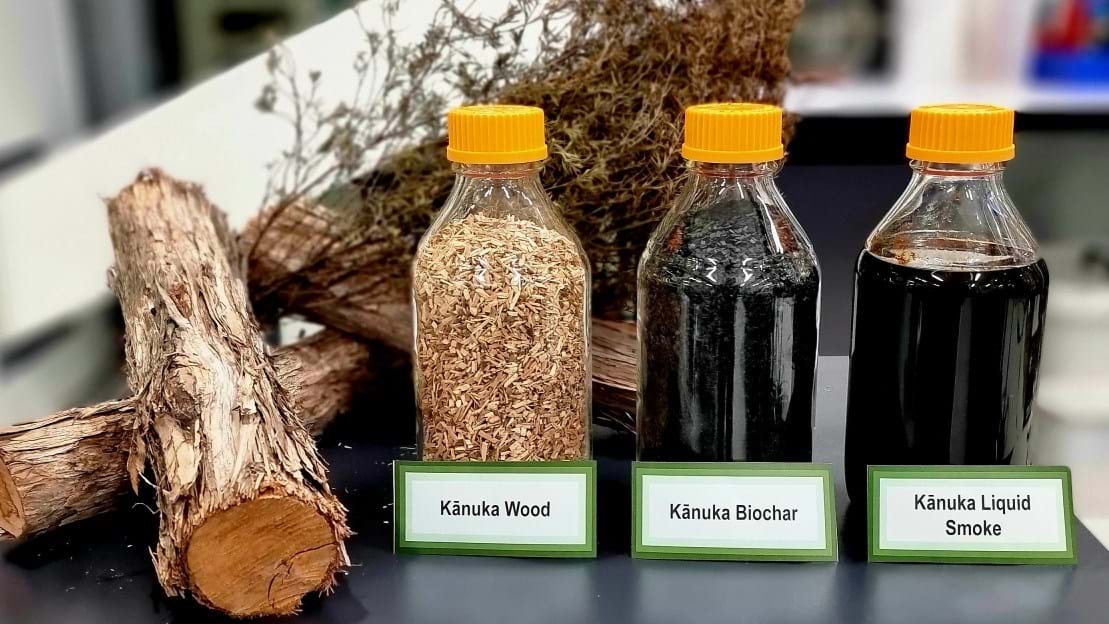 Kānuka