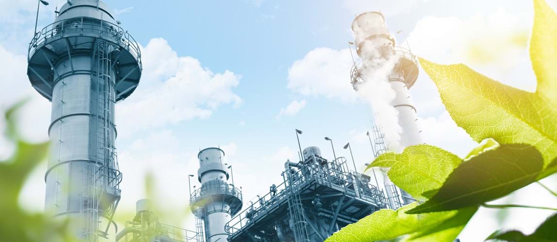 Site Visit to Celtic Renewables Biorefinery