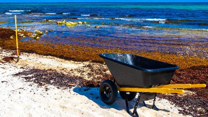 Webinar: Energy and Resource Recovery from Wet Wastes