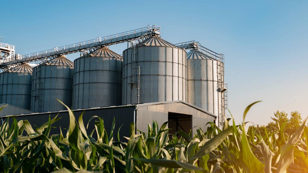 Webinar: Analysis and Assessment of Silo Failures