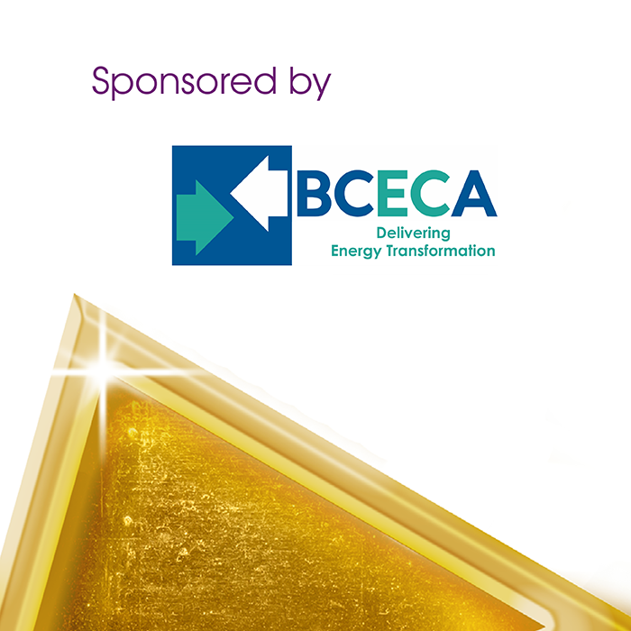 Industry Project Award