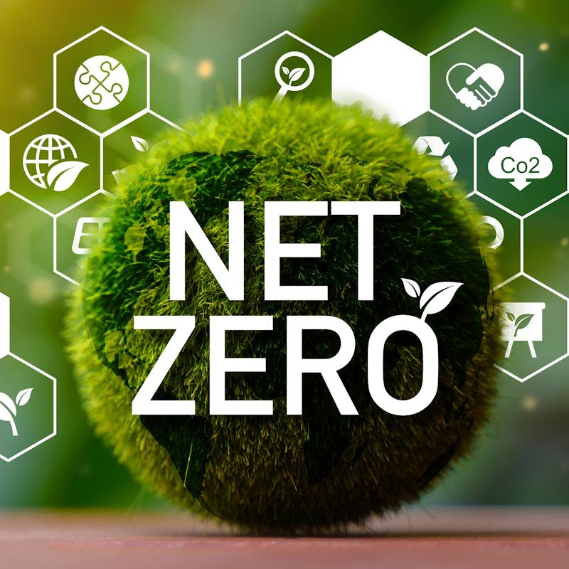 MSN: Reskilling for net zero
