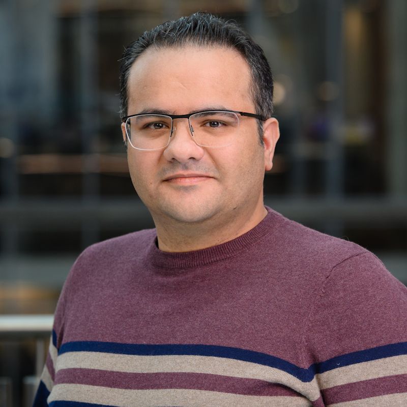 Seyed Mojtaba Hoseyni