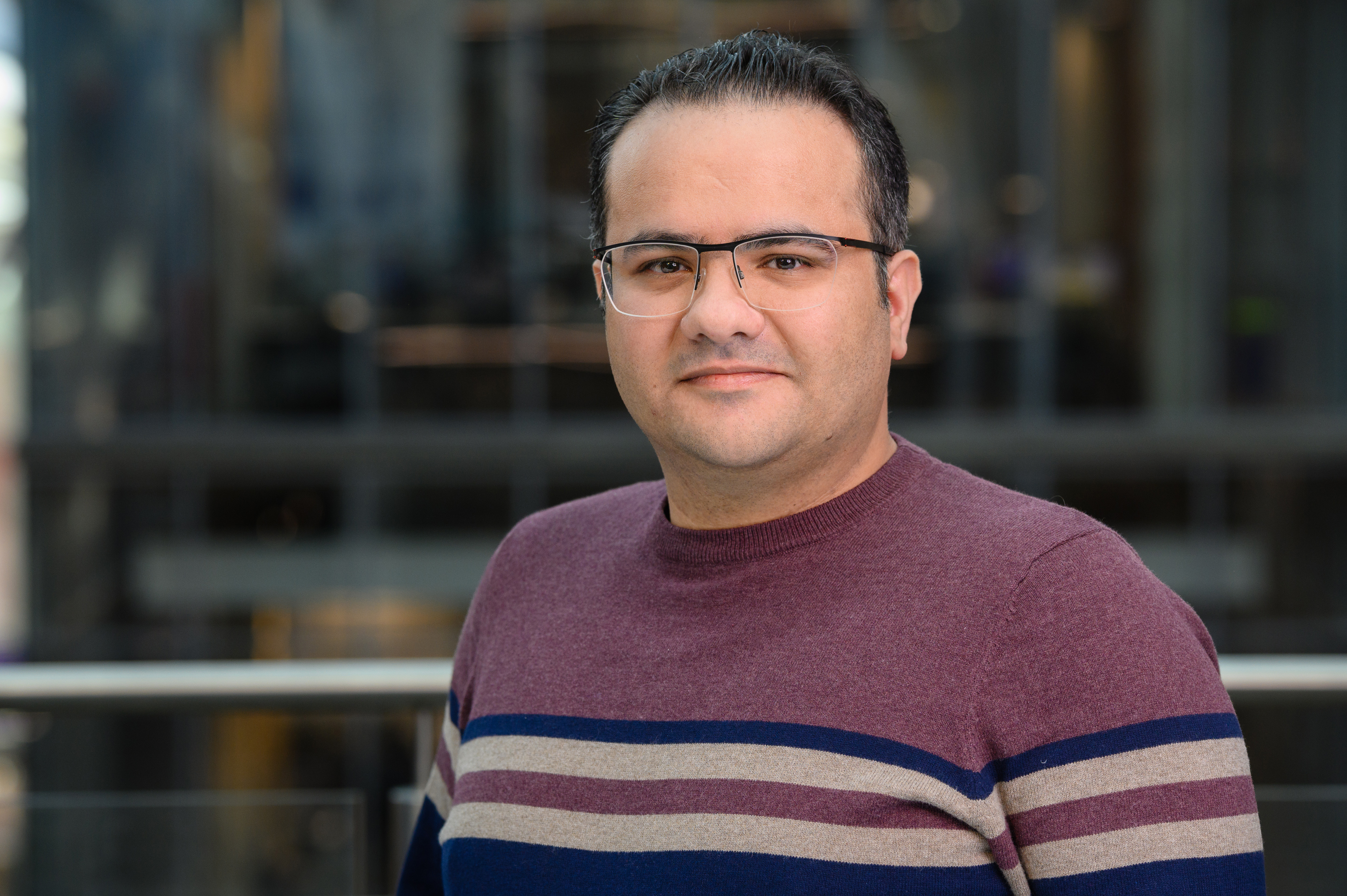 Seyed Mojtaba Hoseyni