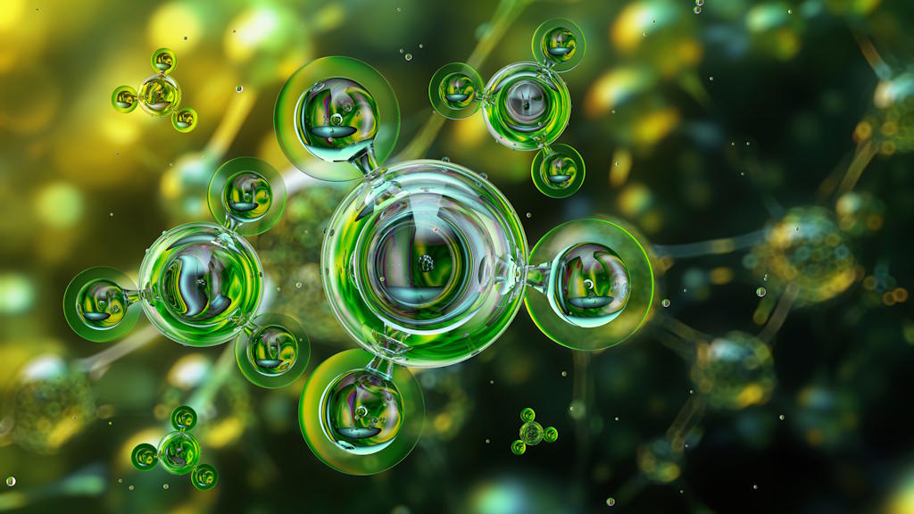 Webinar: Ammonia, Carbon Border Adjustment Mechanisms, and the Apparent Pathway in Trinidad and Tobago