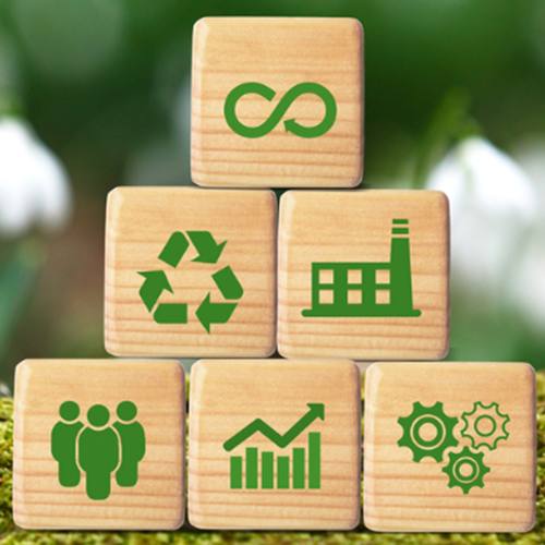 Webinar: Sustainable Circular Economy: Technical, Economic, Political and Social Dimensions