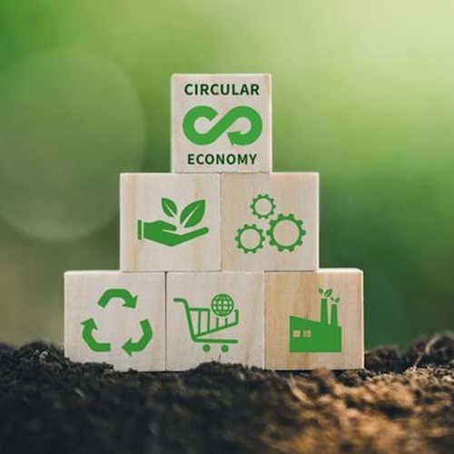 Webinar: Food Structures for a Sustainable World