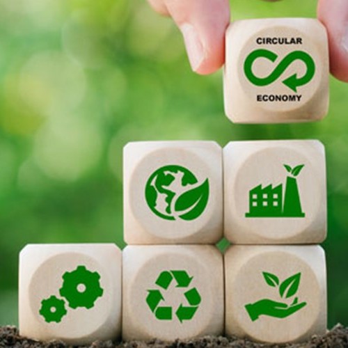 Webinar: Barriers and Solutions Towards Circular Chemical Economy