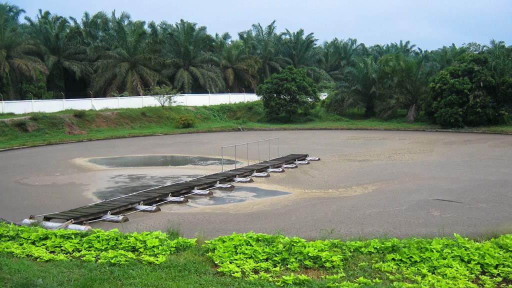 Webinar: Sustainable Treatment and Resource Recovery from Palm Oil Mill Effluent